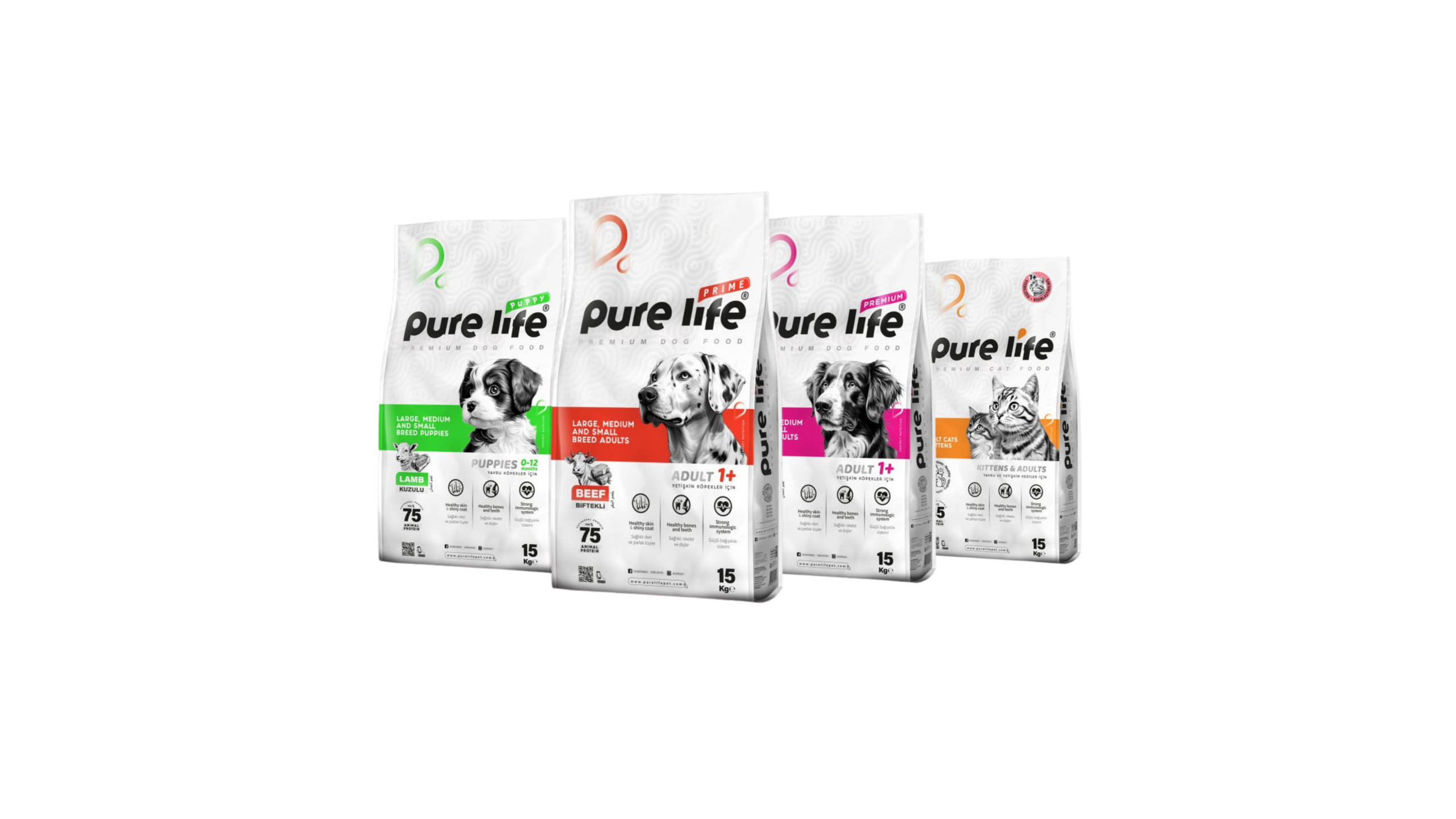 Untitled design 6 scaled