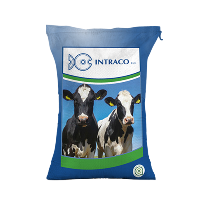 ინტრაკო რუმისტარი ინტრაკო რუმისტარი