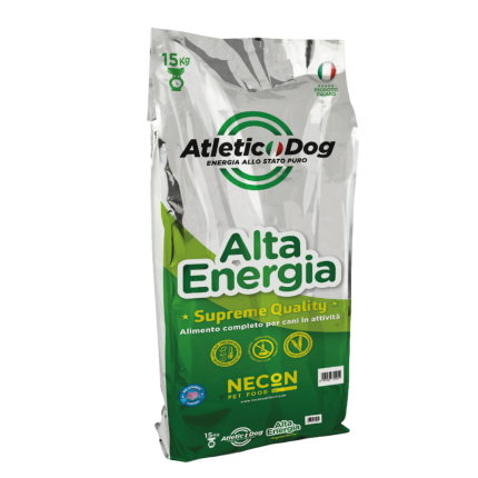 necon athletic dog alta energia