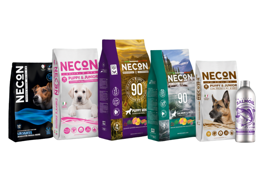 Necon food