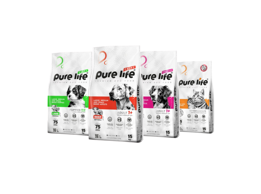 Untitled design 6 scaled