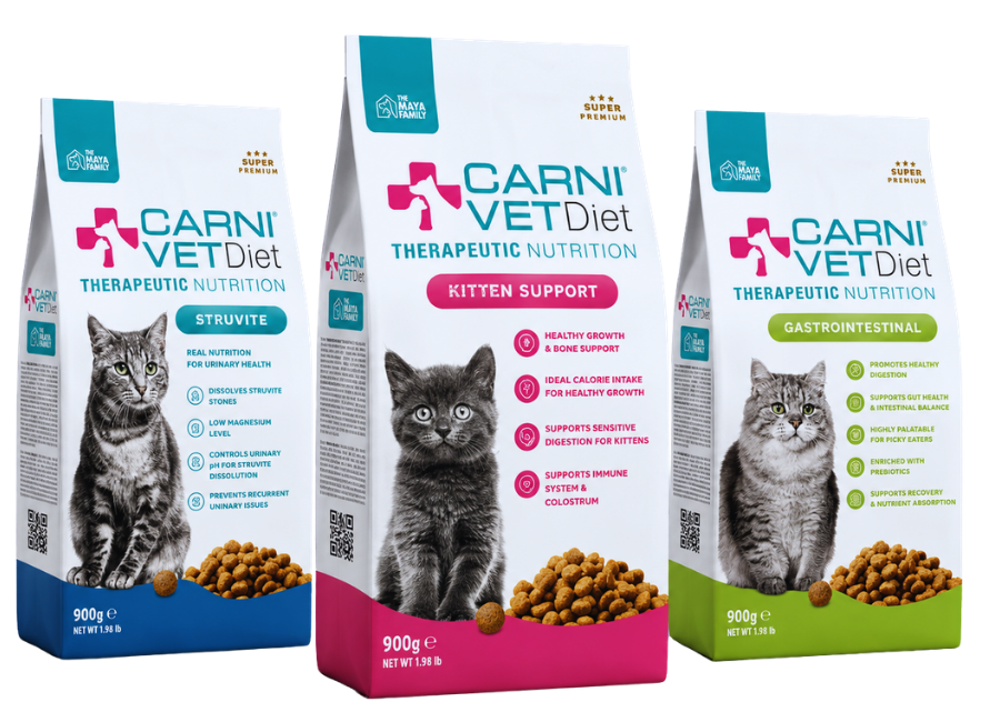 carnivet cat